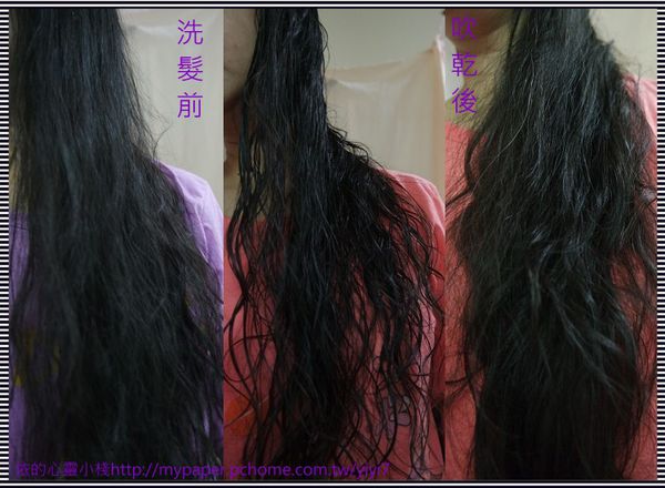 澳寶洗---洗---比
